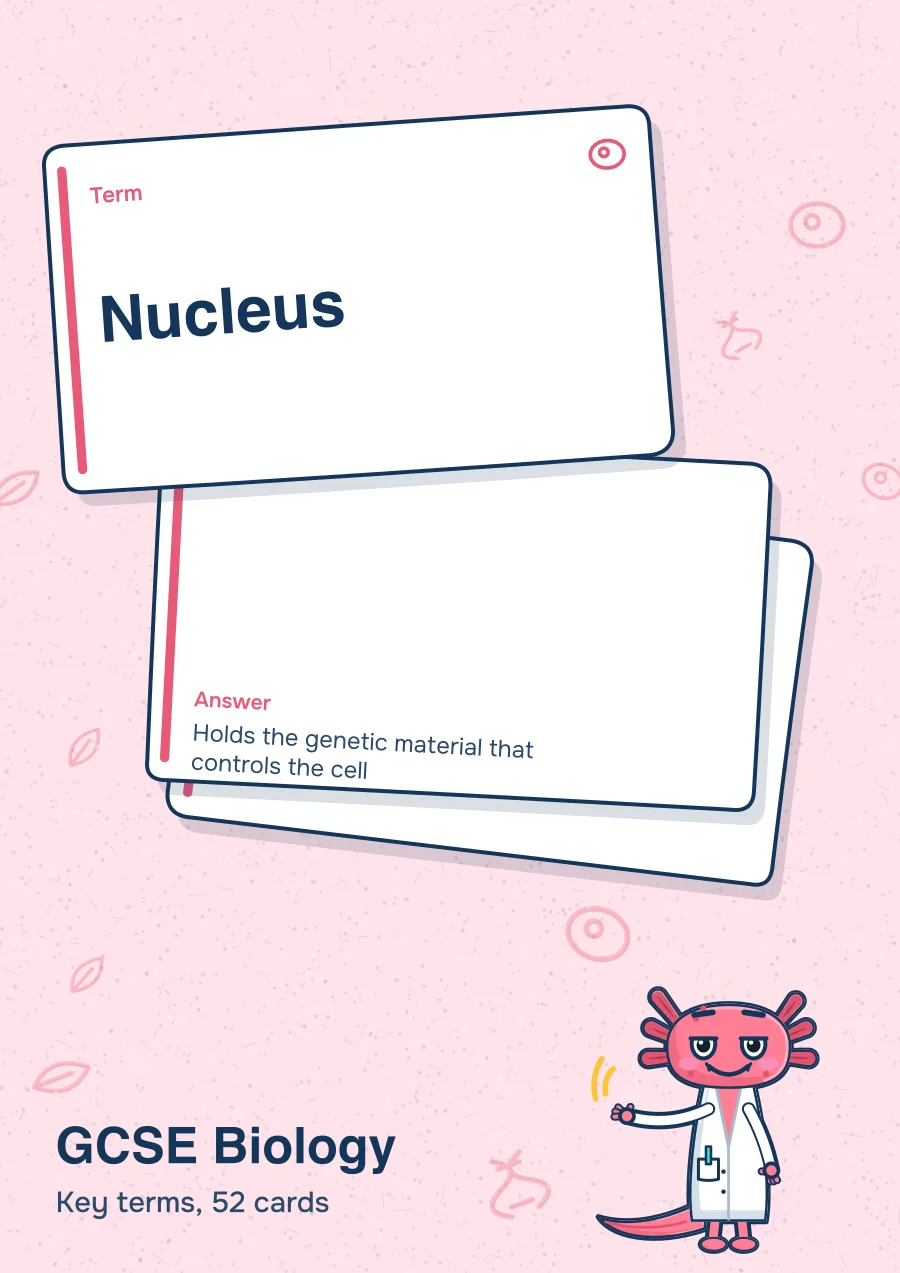 Cards from the GCSE Biology key terms deck